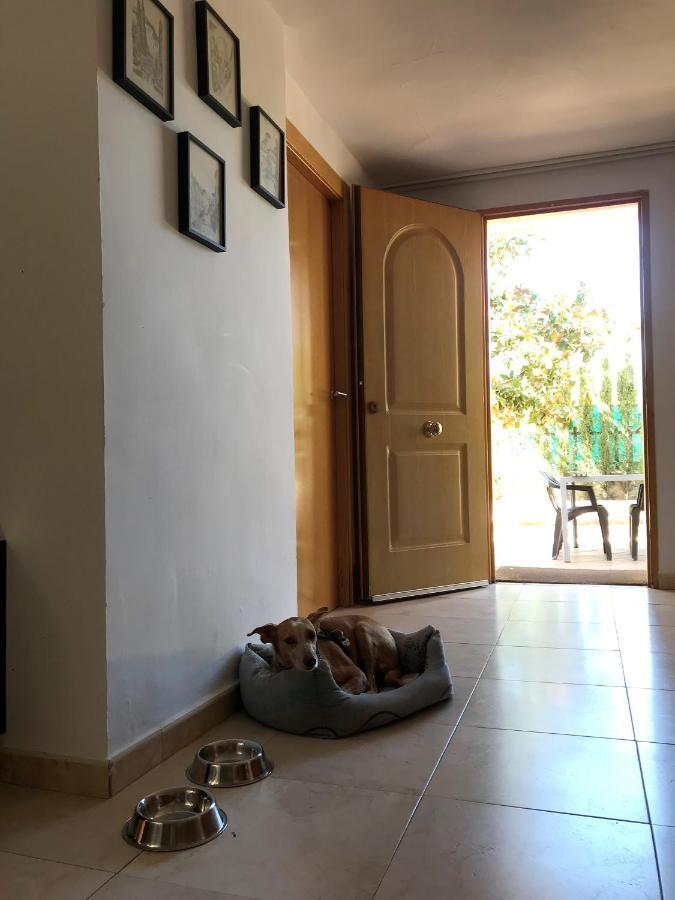 Villa Jazmin Monachil Zewnętrze zdjęcie